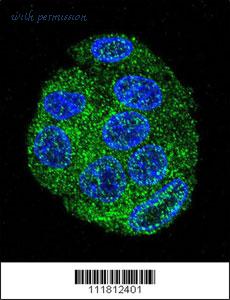 MyBioSource MBS9204261 image 3