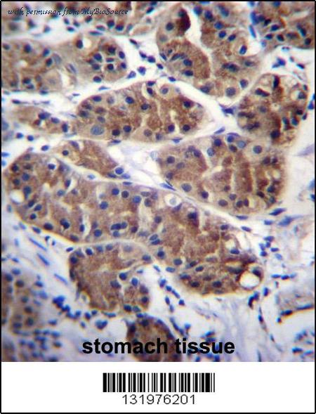 MyBioSource MBS9204539 image 2
