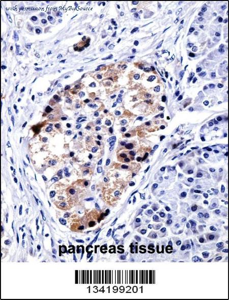 MyBioSource MBS9204928 image 3