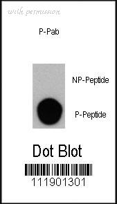MyBioSource MBS9205320 image 1