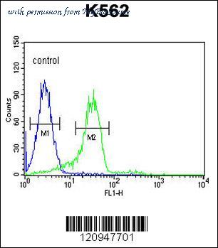 MyBioSource MBS9205809 image 3
