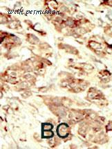 MyBioSource MBS9206450 image 2