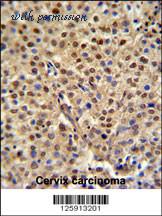 MyBioSource MBS9206968 image 2