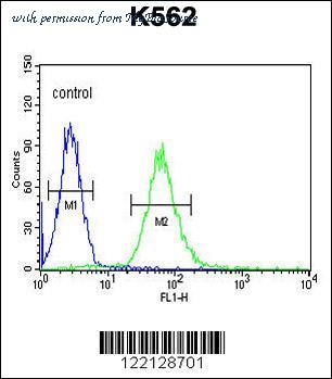 MyBioSource MBS9207388 image 2