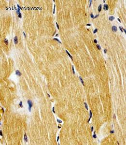 MyBioSource MBS9207635 image 2