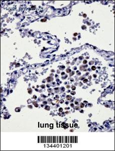 MyBioSource MBS9207739 image 2