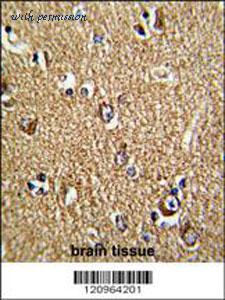 MyBioSource MBS9207834 image 1