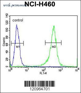 MyBioSource MBS9207834 image 3