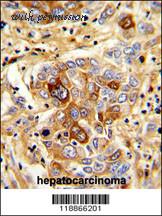 MyBioSource MBS9208646 image 2