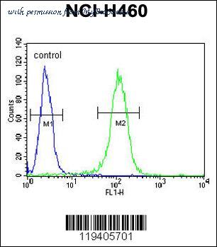 MyBioSource MBS9208829 image 3