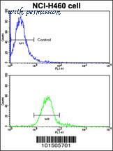MyBioSource MBS9209314 image 2