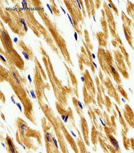 MyBioSource MBS9209414 image 2