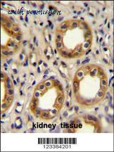 MyBioSource MBS9210391 image 2