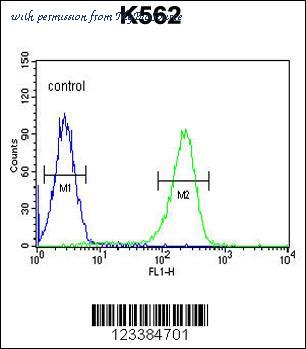 MyBioSource MBS9210391 image 3