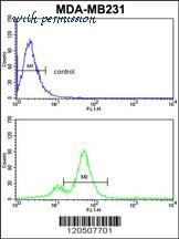 MyBioSource MBS9212023 image 2
