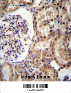 MyBioSource MBS9212124 image 3