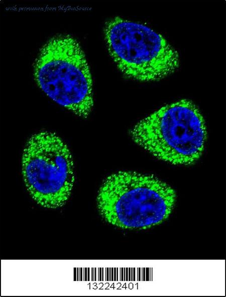 MyBioSource MBS9213096 image 3