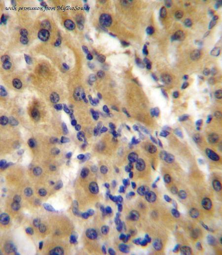 MyBioSource MBS9213445 image 3