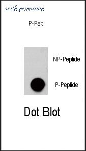 MyBioSource MBS9213634 image 1
