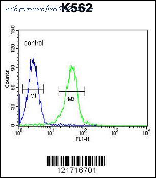MyBioSource MBS9215167 image 3