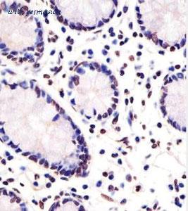 MyBioSource MBS9215640 image 1