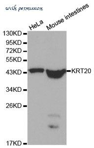 MyBioSource MBS9400927 image 1