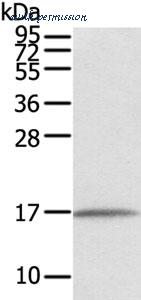MyBioSource MBS9401737 image 1