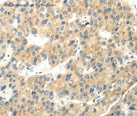 MyBioSource MBS9401982 image 2