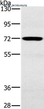 MyBioSource MBS9402684 image 1