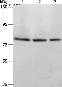 MyBioSource MBS9403251 image 1
