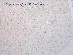 MyBioSource MBS9403801 image 1