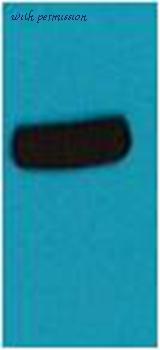 MyBioSource MBS9404176 image 1