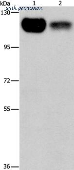 MyBioSource MBS9404610 image 1