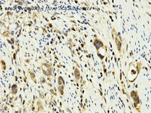 MyBioSource MBS9404690 image 3