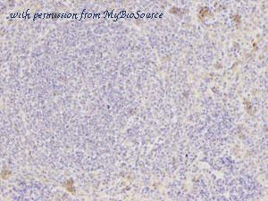 MyBioSource MBS9406172 image 3