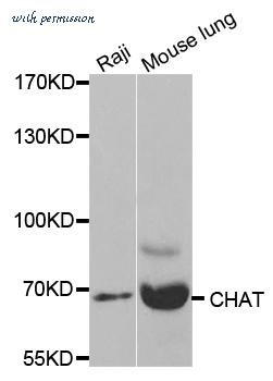 MyBioSource MBS9406559 image 1