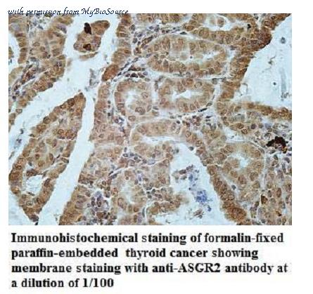 MyBioSource MBS9407158 image 1