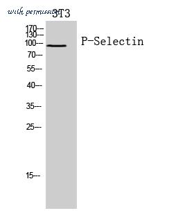 MyBioSource MBS9407197 image 1
