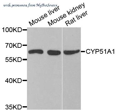 MyBioSource MBS9407979 image 1