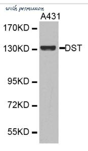MyBioSource MBS9409312 image 1