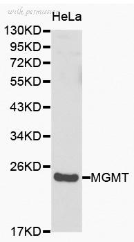 MyBioSource MBS9409314 image 1