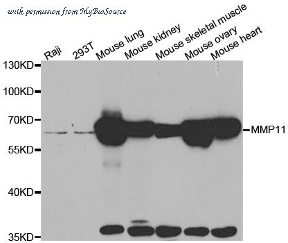 MyBioSource MBS9409414 image 1