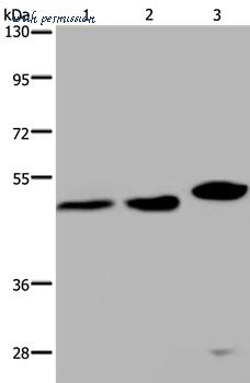 MyBioSource MBS9409560 image 1