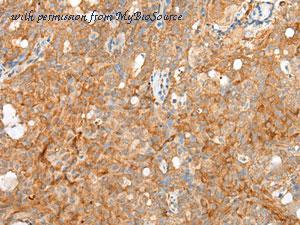 MyBioSource MBS9417111 image 1