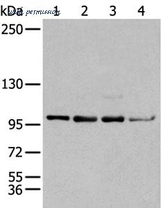 MyBioSource MBS9417345 image 1