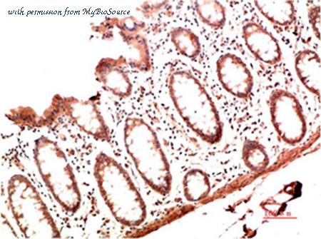MyBioSource MBS9417666 image 1