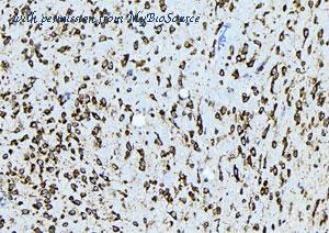MyBioSource MBS9603245 image 1