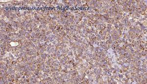 MyBioSource MBS9603568 image 1