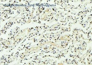 MyBioSource MBS9608745 image 1