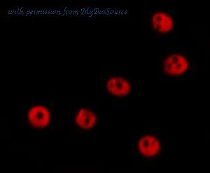 MyBioSource MBS9608745 image 3